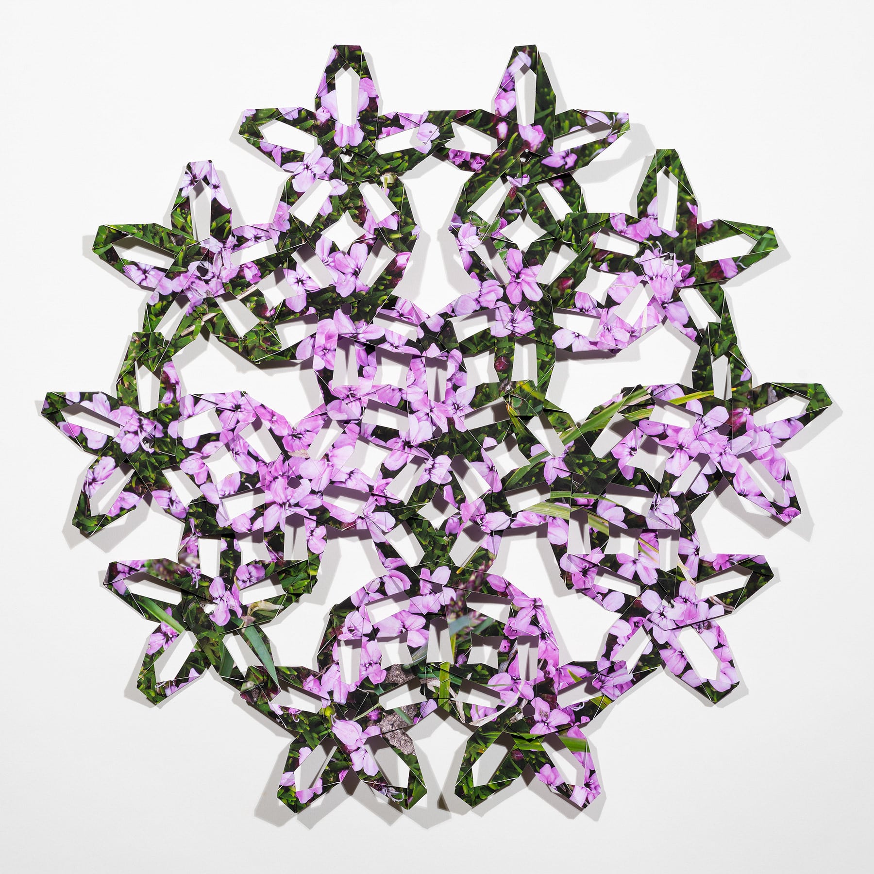 A folded Photographic net featuring bright pink Moss Campion flowers. The photograph has been printed, folded, and knit into the form of a net. The pattern of the net reflects the petal pattern of the flowers in the original image.