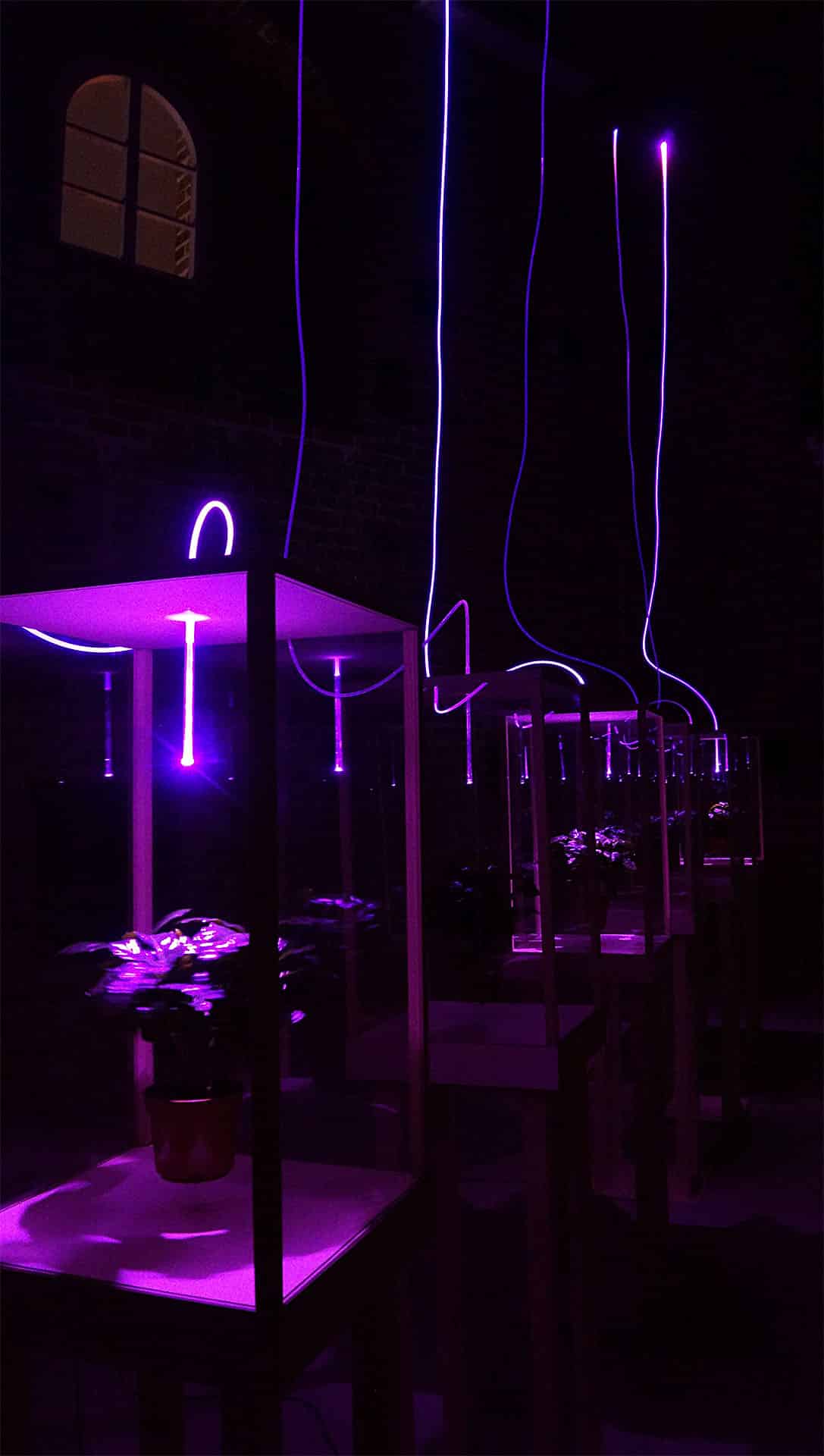 Part of light festival 'Radical light'