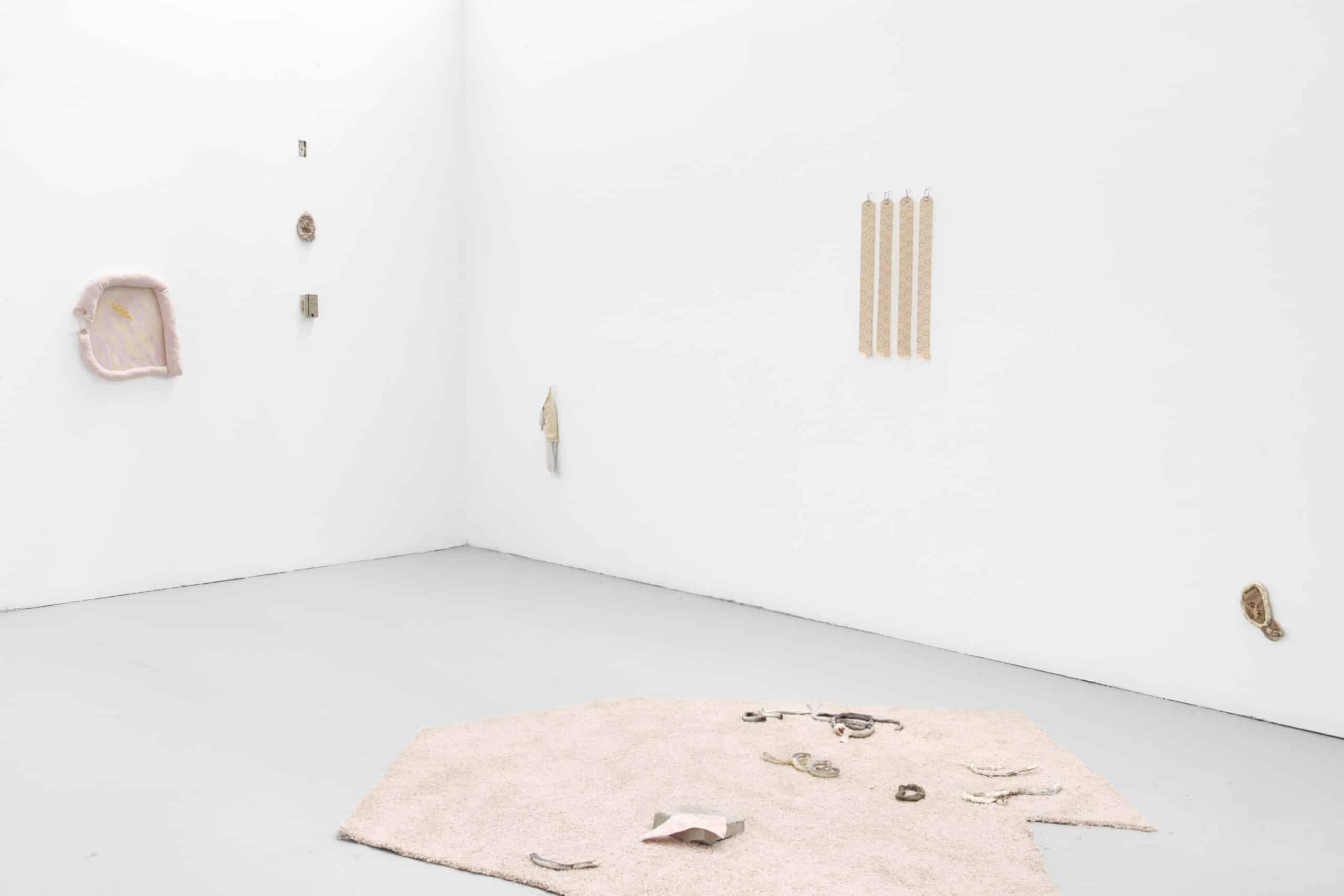 Studio Installation View at The Banff Centre for Arts and Creativity. A large white room with numerous small sculptural works hanging on the wall. On the grey concrete floor there is a beige carpet with various small abstract ceramic sculptures displayed on it.