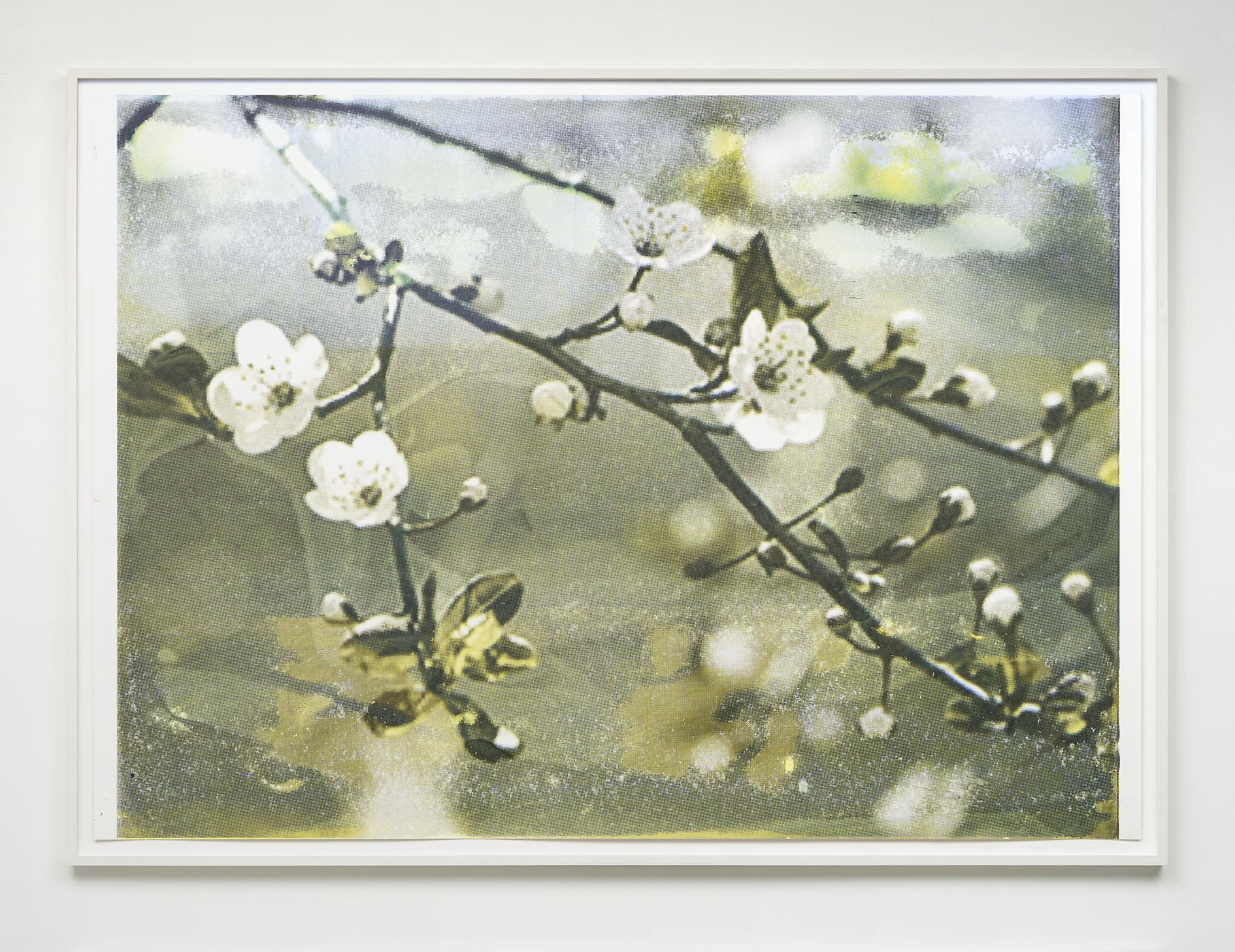 Hanna Stiegeler Curiosity Gap colored screenprint