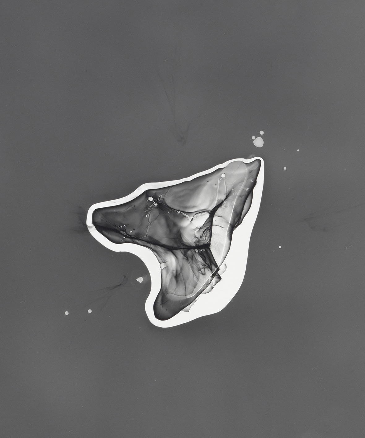 Jökulsárlón I is part of series of photograms created by exposing photographic paper through pieces of glacial ice. Glacial ice is shaped under intense pressure over a long periods of time. The light exposes complex prisms inside the ice and draw these invisible traces of time on the photosensitive paper.