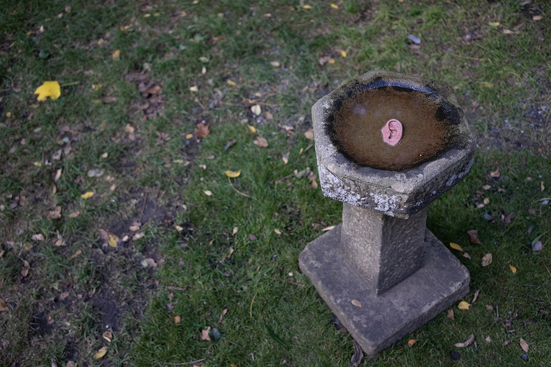 Nestled within a small grove in Regent’s Park, Unfolding Silence offers an intimate space for listening. In here, the disembodied voices of the Echo Vocal Ensemble subtly emerge, blending in with the surrounding soundscape.