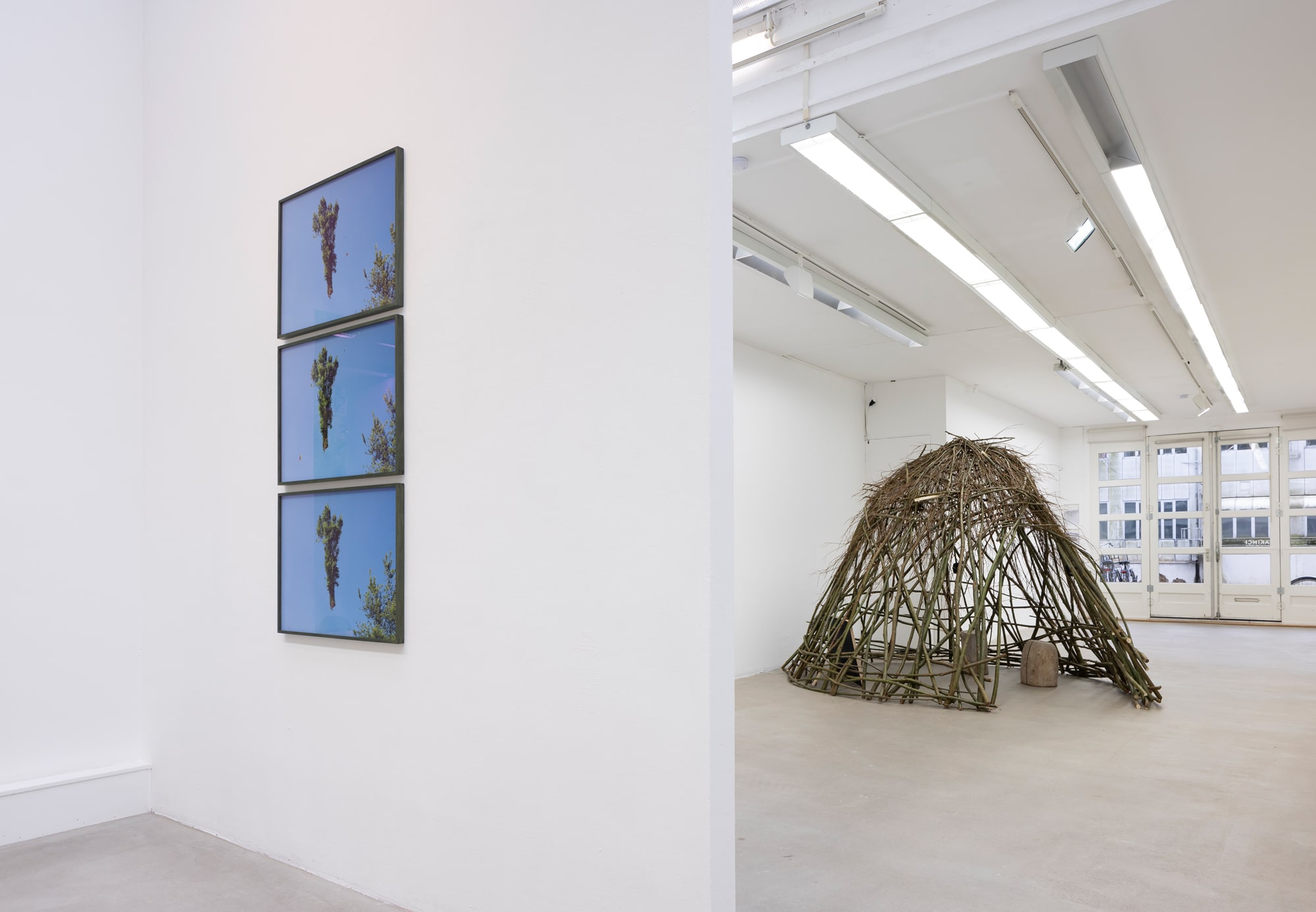 Multi media installation including a hut of willow branches viewing audiovisual work inside titled Blow Softly (2024)