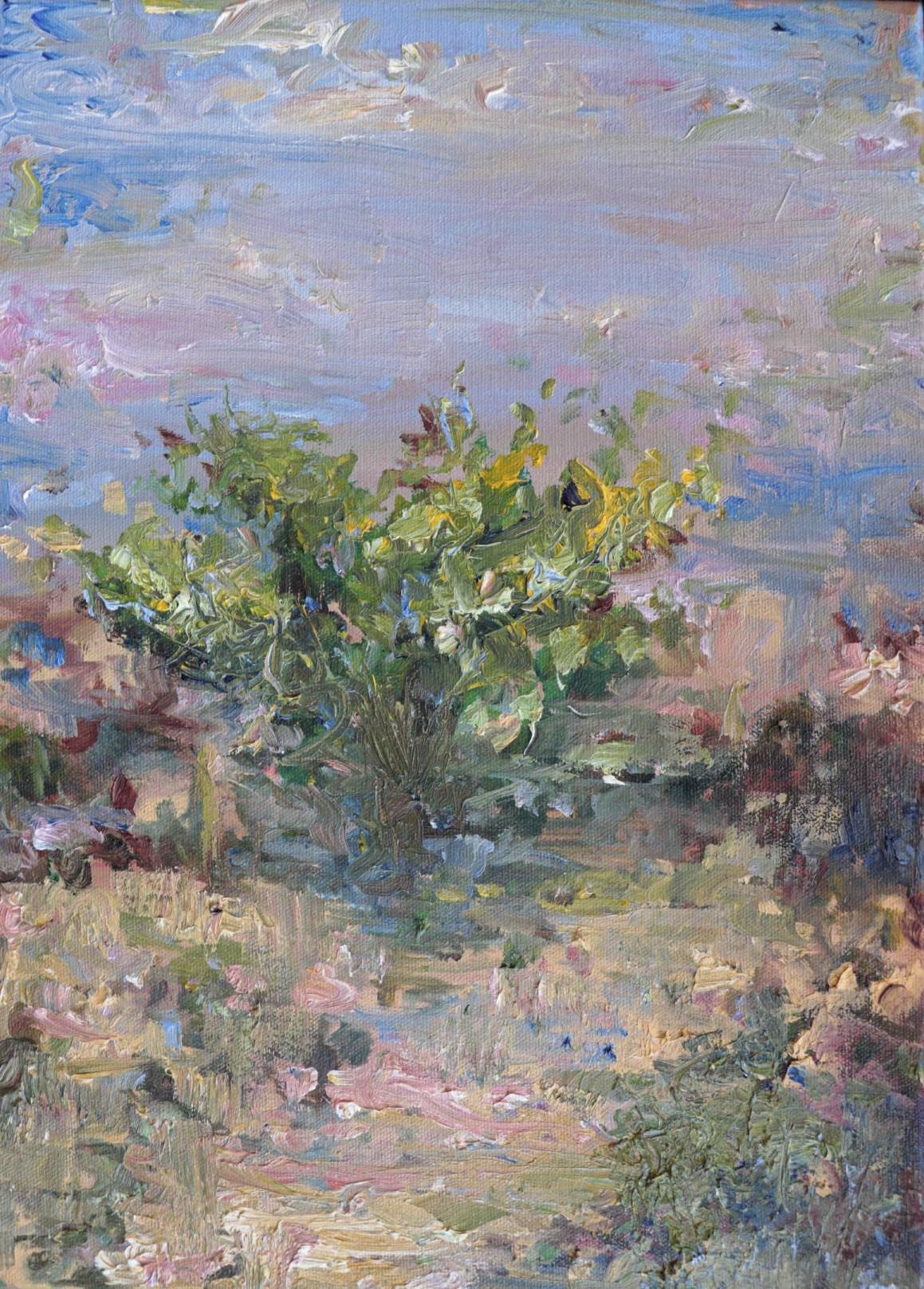 "Desert Beauty" is an impressionistic painting created with a palette knife, representing a desert scene inspired by the landscapes of Qatar. Thick, textured strokes impart a three-dimensional quality, capturing the resilient and diverse vegetation, with a central tree.