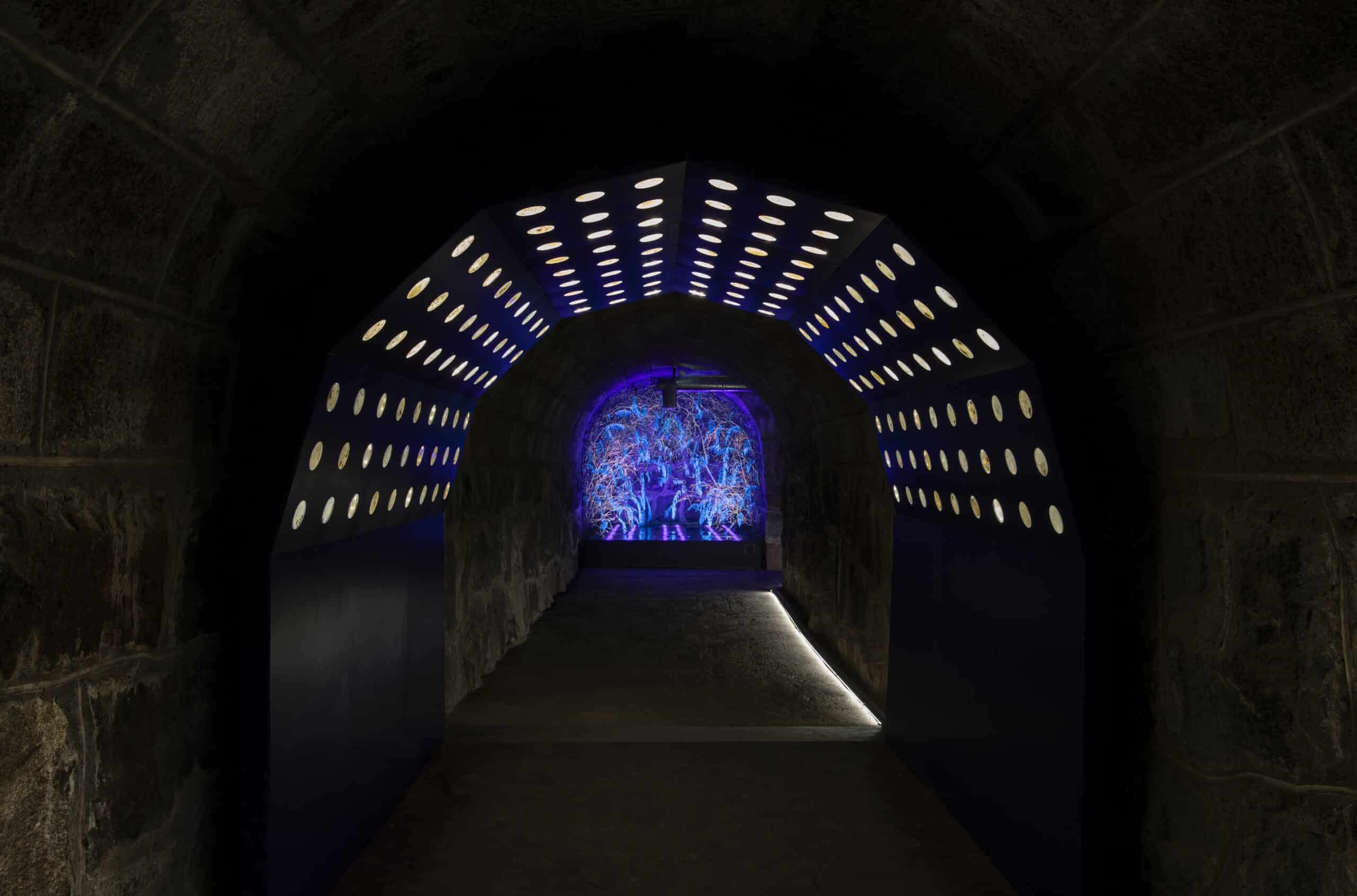 The site-specific immersive installation that challenges visitors to confront human-centred narratives that have traditionally dominated our understanding of consciousness. Zamora’s research of bioluminescence – the ability of certain organisms to emit light – has culminated in the development of a bioluminescent fluid in collaboration with the Institute of Health Carlos III in Madrid, Spain. The fluid is produced by combining organic phosphorus and protein extracts from luminescent phytoplankton. The artist collects dead leaves, some of which he decellularizes before injecting them with the bioluminescent fluid and encasing them in eco-resin derived from plant-based monomers and polymers, thereby ensuring no adverse effects on the surrounding environment. The luminous vegetal perspective enhances our appreciation of the natural world and raises profound questions regarding consciousness and the interconnectedness of life. Air is another significant component of the installation in Vallisaari’s Alexander Battery. Zamora collected air samples from around the island, which he cultured in suspended petri dishes containing microorganisms that will continue to grow throughout the duration of the biennial. Accompanying these discs are drawings and watercolours executed in bioluminescent fluid depicting plants, fauna, and other non-human agents. The production is supported in part by a grant from Acción Cultural Española (AC/E), a state agency; Catapulta. A Launchpad for Contemporary Spanish Art and Embassy of Spain in Finland.